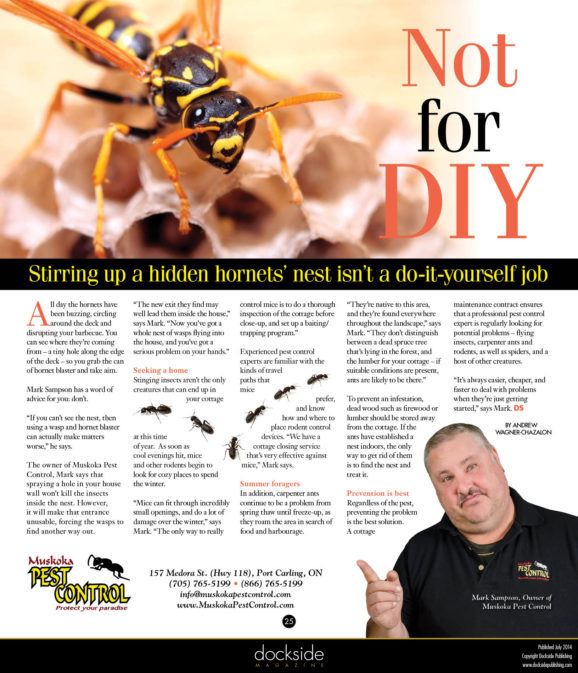 Pest Control Blog Archives - Page 2 of 3 - Muskoka Pest Control